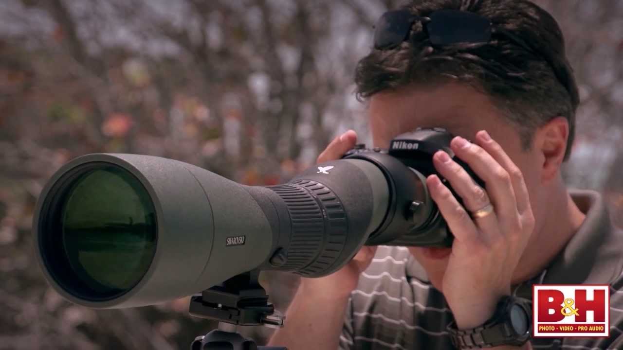 Swarovski Digiscoping PT. 1