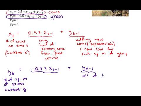 Example for how to set-up a simulation (discrete-time model) with 2 variables