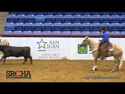 SJR Diamond Suzanne shown by Clay Volmer - 2019 SRCHA Pre-Futurity (Cow - Open Futurity)