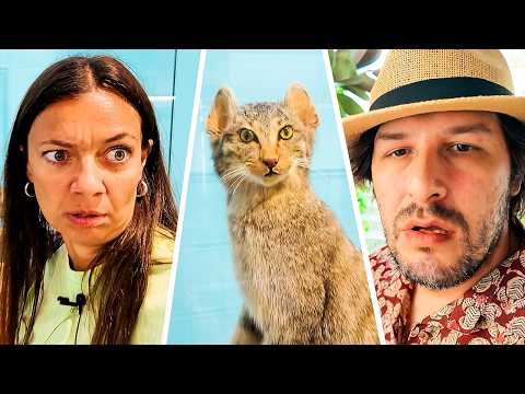 Bi Bakıp Çıkıcaz Kokari | Vlog