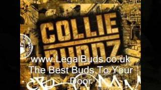 Brush Me - PlayBack - Collie Buddz - Reggae Lovers 2011 New