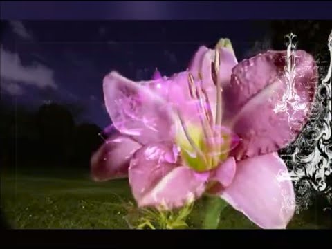 [FREE] sewerperson x skele x alternative indie type beat "bad mood" [prod. secre x jolst]