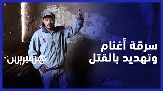 سير فحالك ولا غادي نتيريو فيك" .. كسابة يحكون قصة سرقة أغنامهم من طرف عصابة إجرامية  بنواحي برشيد " thumbnail