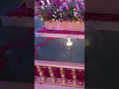 Beautiful Fountain Short
