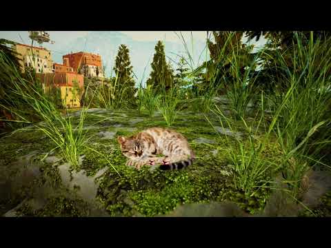 Curiosity youtube-video