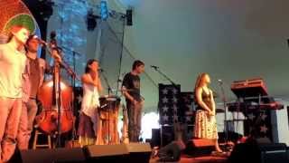 DSCN4148 Elephant Revival at 2014 LEAF -- Raven Song