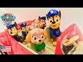 Paw Patrol Toys Full Episode Road Trip Potty Training Learning Colors Glitter Bath Paint Surprise