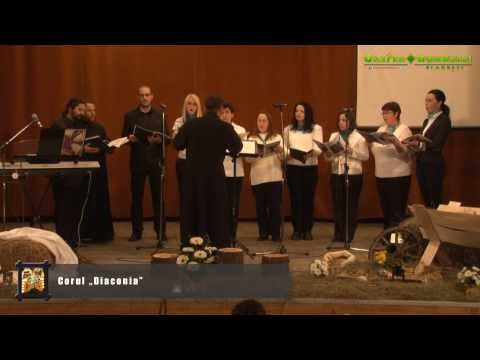 Corul Diaconia al Bisericii Tuturor Sfintilor, Cetatea Fetei, Floresti