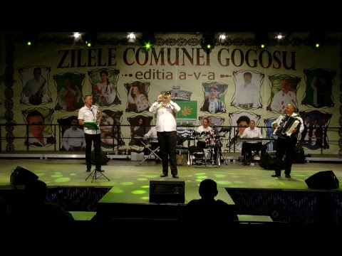 Dragisa Paunovic, Danijela Prazic & Ljubisa Bozinovic - Zilele Comunei Gogosu