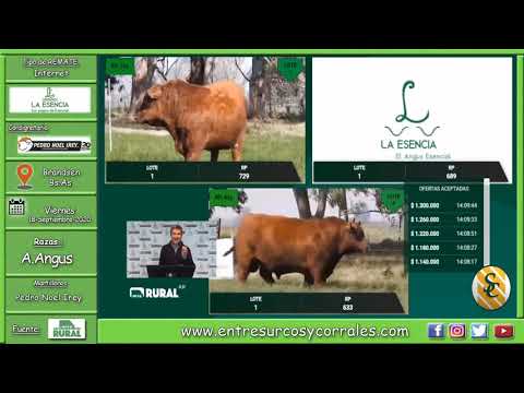 18-09-20 - Remate de Cabaña La Esencia - Consignataria Pedro Noel Irey - Brandsen