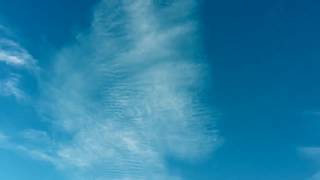 🎸Cloud Collective: Don't Wish Your Life Away🤩 Sumerian Skies - Read Description❤️