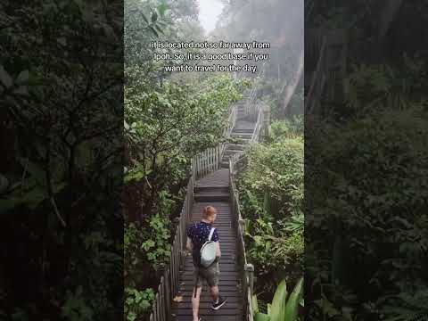 Must-do in Malaysia 🇲🇾  Visit the Cameron Highlands