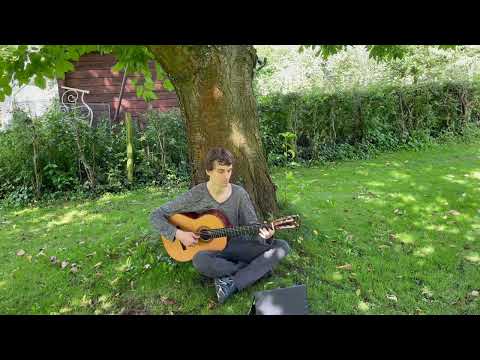 Pavaniglia with Variations by Foscarini (Let's play: Guitar Music from the 16th to 18th centuries I)