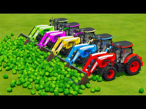 LOAD & TRANSPORT WATERMELONES WITH FENDT AND McCORMICK TRACTORS - Farming Simulator 22