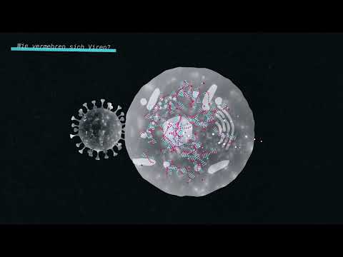 Gute Frage: Was sind Viren? - nano / Terra X (3sat, ZDF)