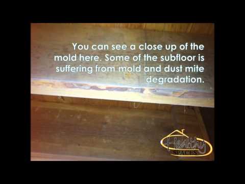 Mold Remediation in Boonville Indiana