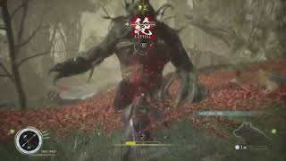 #4 考え無しの特攻はダメですね [Beast of Reincarnation]