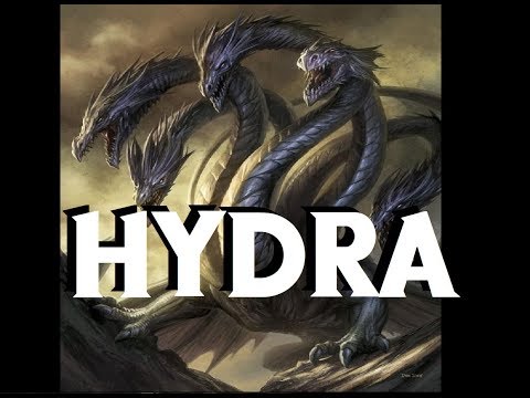 Dungeons and Dragons Lore: Hydra