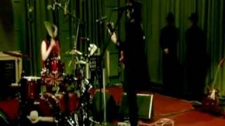 The White Stripes - Blue Orchid / Party of Special Things To Do