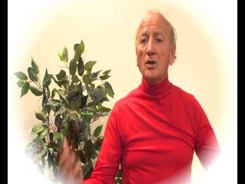 David Azzopardi   Milied Tfuliti   1979