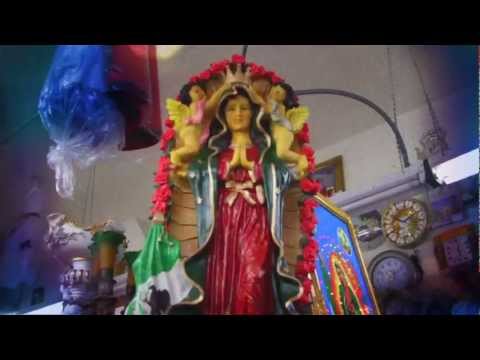 WAX IDOLS "HUMAN CONDITION" OFFICIAL VIDEO