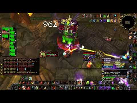 WoW TBC Classic Level Up VS Hex Lord Malacrass