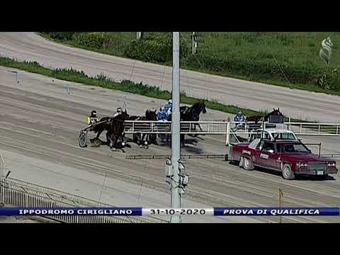 Aversa trotto 31 Ottobre 2020 - Prova di qualifica