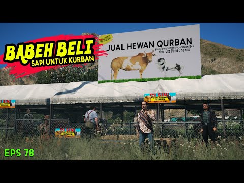 Babeh Beli Sapi Kurban -Eps 78