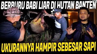 Download lagu HUNTING LARGE WILD BOAR THAT OFTEN DISTURB RESIDENTS' GARDENS!! mp3 Download lagu HUNTING LARGE WILD BOAR THAT OFTEN DISTURB RESIDENTS' GARDENS!! mp3
