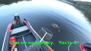 Медведка река рыбалка
