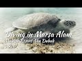 Diving in Marsa Alam