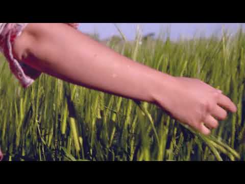 ADRIAN JUNIORS - Espíritu