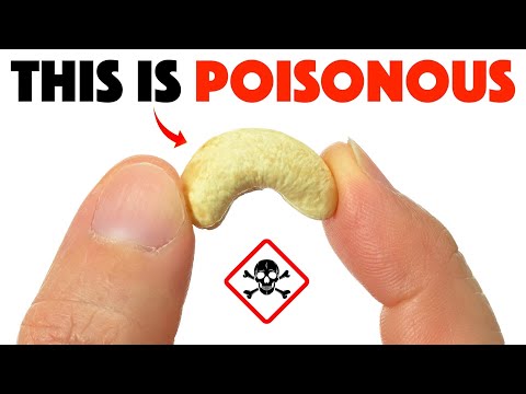 10 Common Foods That Can Actually Kill You