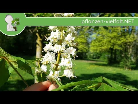 Durch das, was erhöht die Prostata Ursachen Prostata bei jungen Menschen