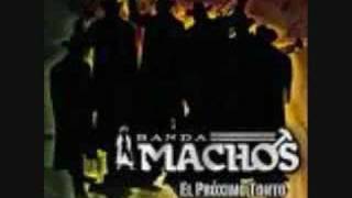 proximo tonto-banda machos letras