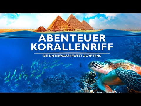 Coral Reef Adventure – The Underwater World of Egypt (DOCU with stunning images, German)