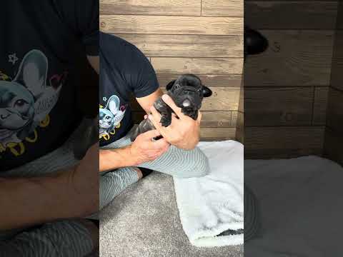 Video 4