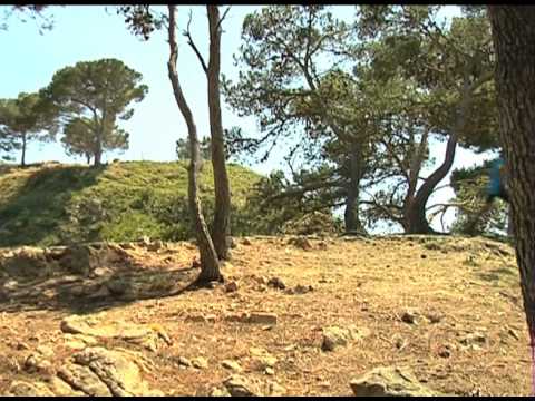 Evasión Tv programa Nº1