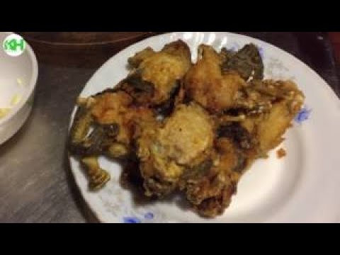 Awesome Cooking Bbq Frosch Mit Schweinefleisch Köstliche Rezept - Gegrillte Frosch Rezepte