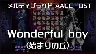 Wonderful boy - MELTY BLOOD Actress Again Current Code