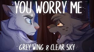 YOU WORRY ME【Grey Wing &amp; Clear Sky || PMV】