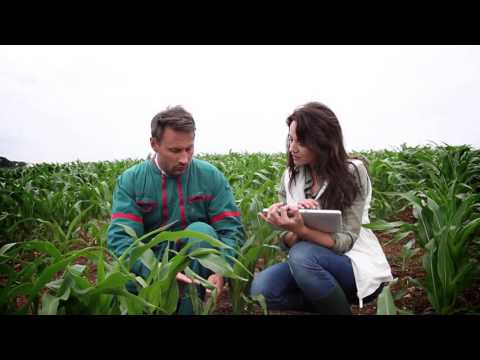 Agroproiecte de succes