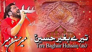 Tere Baghair Hussain (as)  Mir Hasan Mir  New Manq
