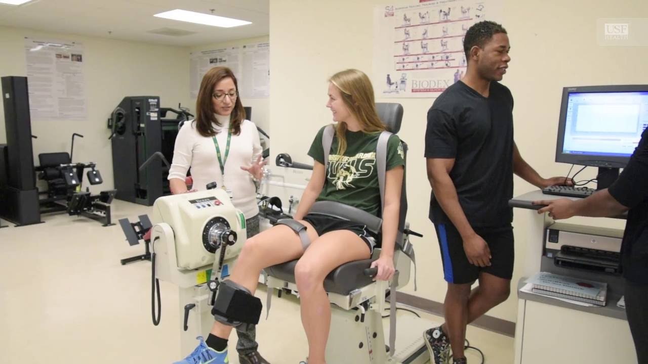 Usf Admissions Office >> School of Physical Therapy & Rehabilitation Sciences | USF ... Usf Admissions Office >> School of Physical Therapy & Rehabilitation Sciences | USF ...