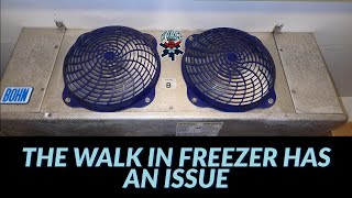 The Walk-In Freezer Has an Issue