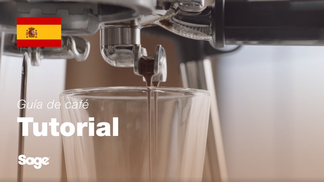 Tutorial de guía de café de Breville - Equilibrar la extracción