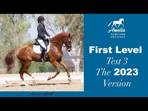 NEW! USDF First Level Test 3 - v. 2023