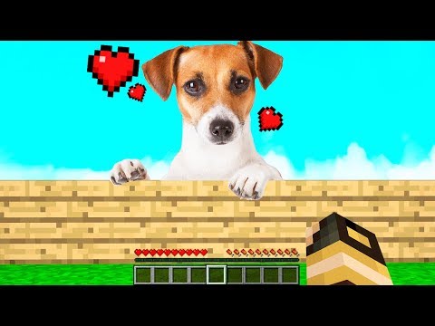 HO ADOTTATO UN CAGNOLINO! - Casa di Minecraft #44