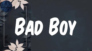 (Lyrics) Bad Boy - Fally Ipupa