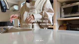 【日常vlog】コストコ購入品で過ごす平日｜お友達の家に遊びに行く午後｜お昼に作る晩ごはん